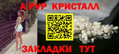 эйфоретик Кингисепп