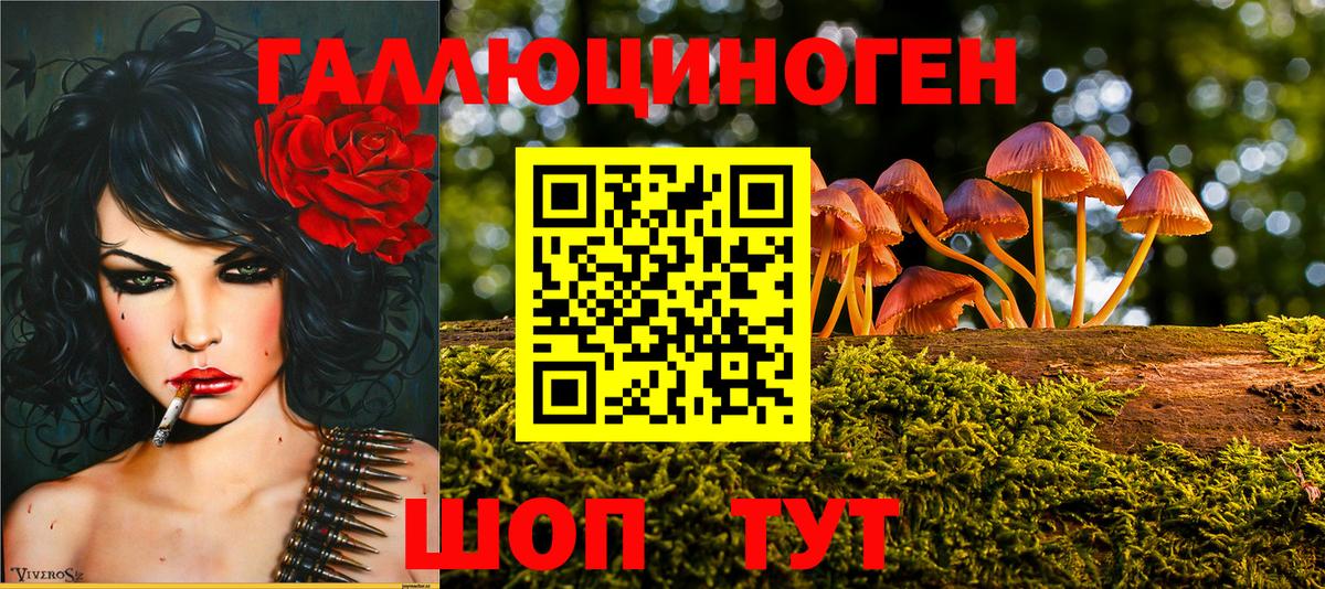 Красноармейск  Псилоцибиновые грибы Psilocybine cubensis  дарнет шоп  Вход с VPN  Псилоцибиновые грибы мухоморы 