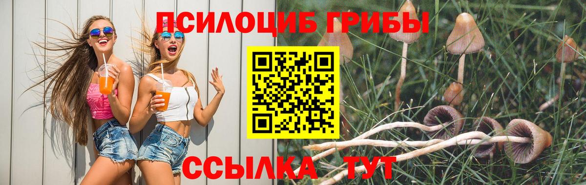 Псилоцибиновые грибы Psilocybine cubensis Красноармейск